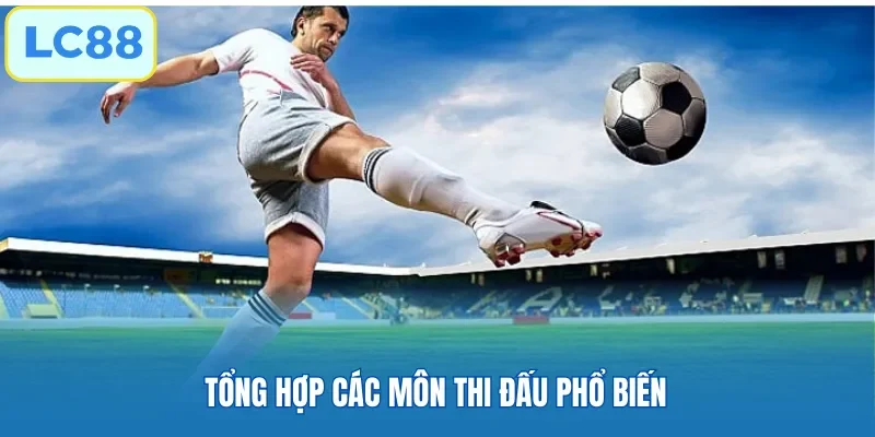 Tổng hợp các môn thi đấu phổ biến